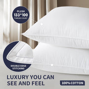 NestFill Pillow Inserts – Pair of 2