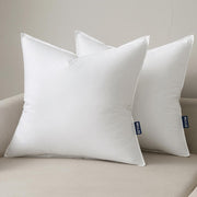 20X20 Throw Pillow Inserts