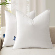 20X20 Throw Pillow Inserts