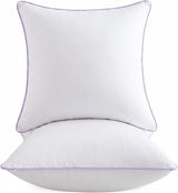 20X20 Hypoallergenic Square Pillow Inserts
