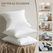 20X20 Throw Pillow Inserts