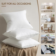 NestFill Pillow Inserts – Pair of 2