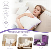20X20 Hypoallergenic Square Pillow Inserts