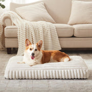 XXL Orthopedic Dog Bed – Cream