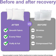 20X20 Hypoallergenic Square Pillow Inserts